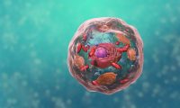 生物科技细胞内部结构解析：生物医学三维演示动画制作