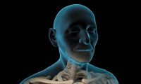 医疗医学脊椎脊柱：三维3D动画制作、医学演示动画制作