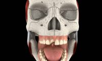 3D牙科补牙动画：3d医学动画设计、医疗动画制作