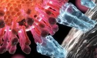 细胞生物科研动画：三维医学动画制作、医学动画视频制作