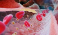 三维人体癌症细胞被消灭痊愈：人体医学三维演示动画制作