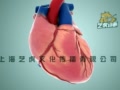 上海医学动画展示10秒心脏跳动手术视频：三维演示动画制作